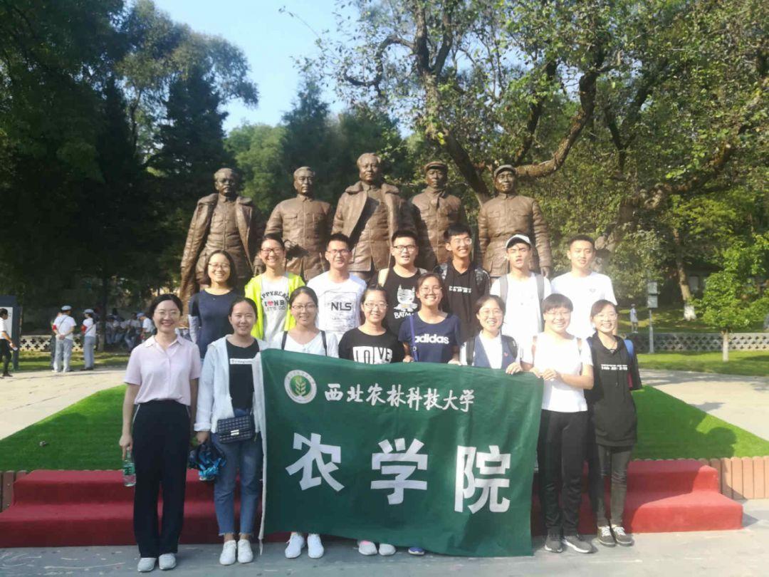 58岁张卫健彩排遇惊险意外,敬业精神令人敬佩